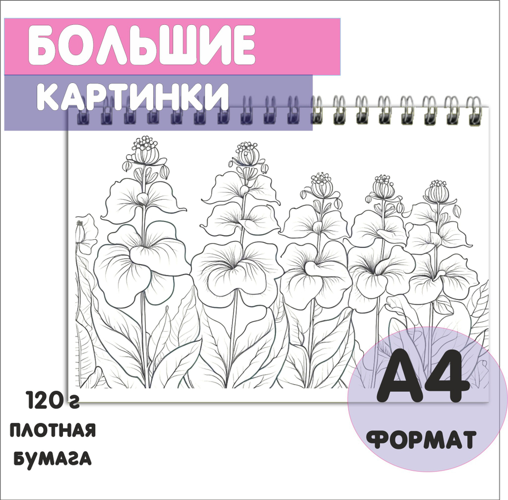 Раскраска "Бабочки" для взрослых и детей от 5+ лет, 40 листов, плотная бумага 120г, спайка 10шт