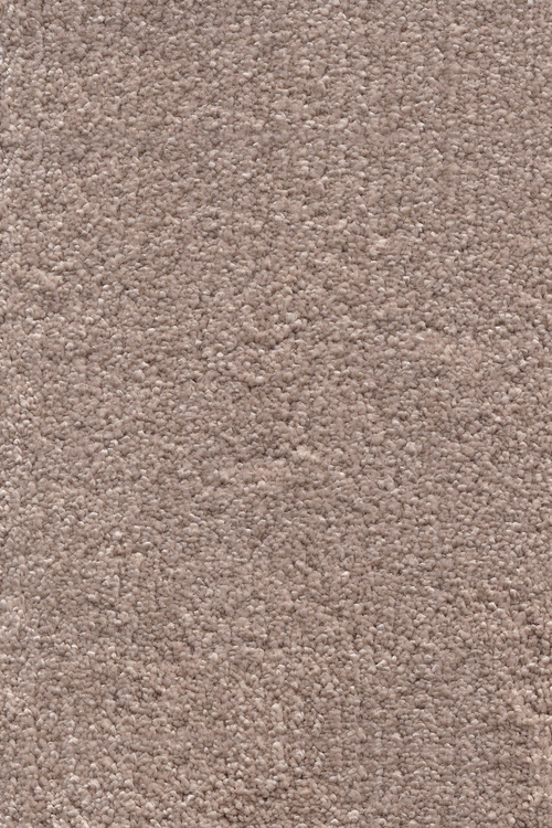 Ковровое покрытие AW Invictus Sirius 39