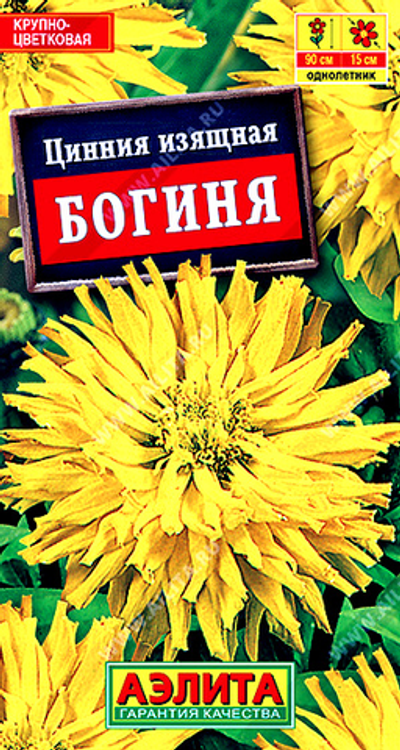 Цинния Богиня кактусовидная