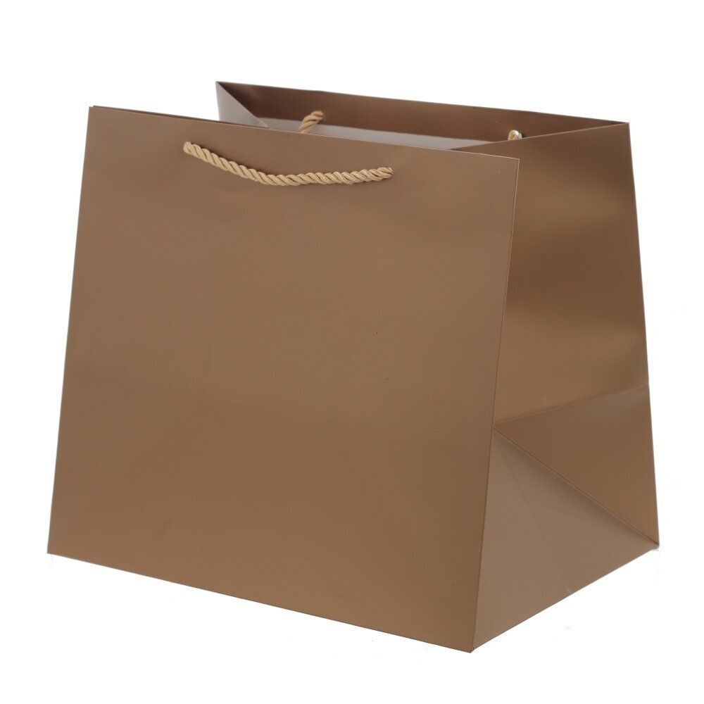 GAEM Пакет подарочный (бумага 230г/м2, блок 12шт), L28 W20 H25 см, 5в.