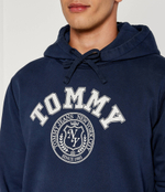 Худи Tommy Jeans - темно-синий(DM0DM19235)