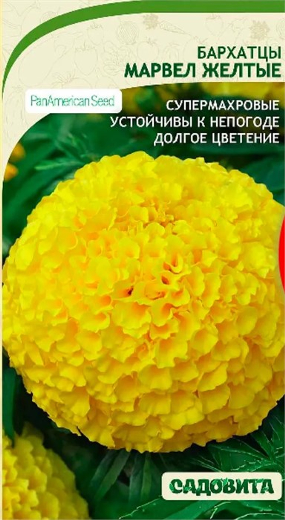 Бархатцы Марвел Желтые прямостоячие 5шт PanAmerican/Садовита