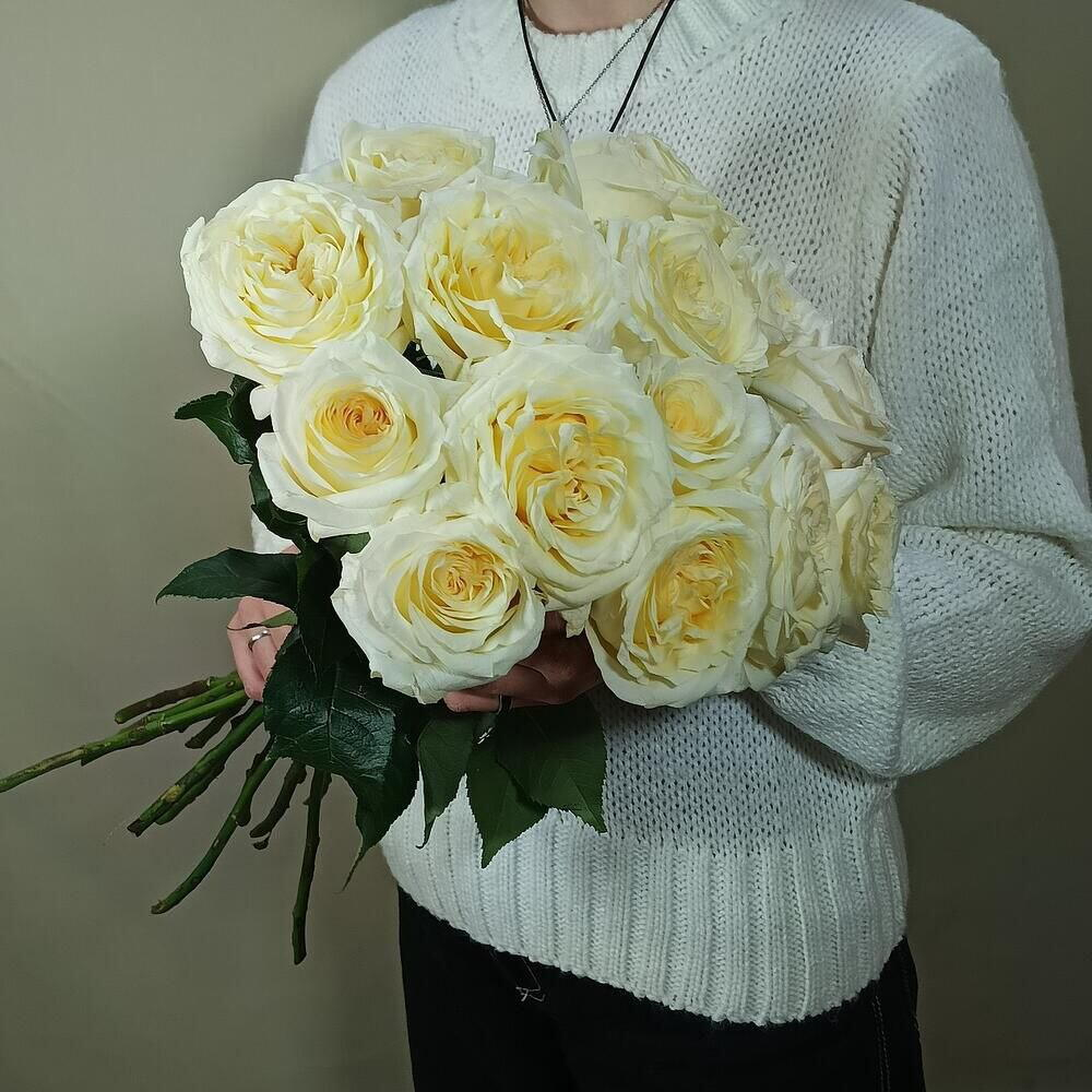 Букет из 15 шт. Белых чайно пионовидных роз с кремовыми оттенком