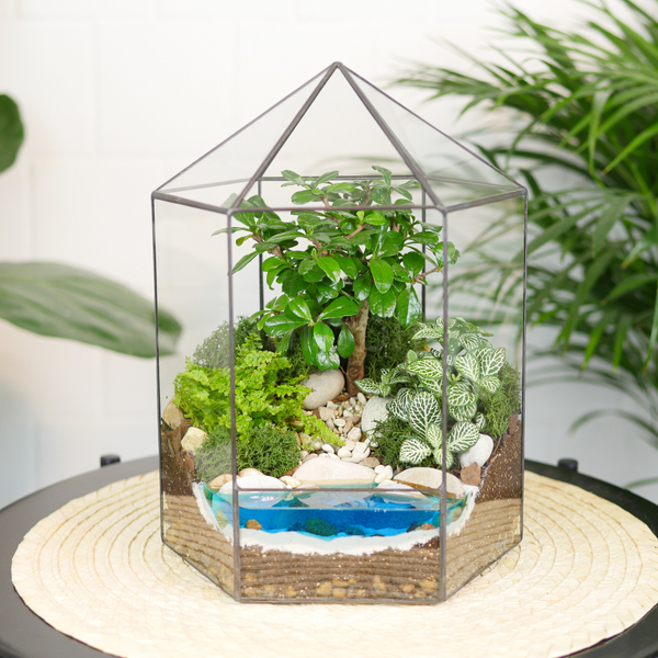 Флорариум бонсай Хижина с озером