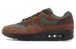 Nike Air Max 1 Beef Broccoli
