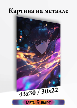 Картина на стену на металле от MetallSubArt "Solo leveling"