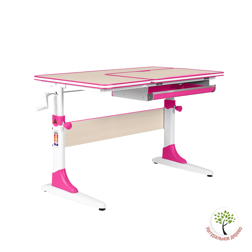 Растущая парта Anatomica Study-100 (1000×600 мм)