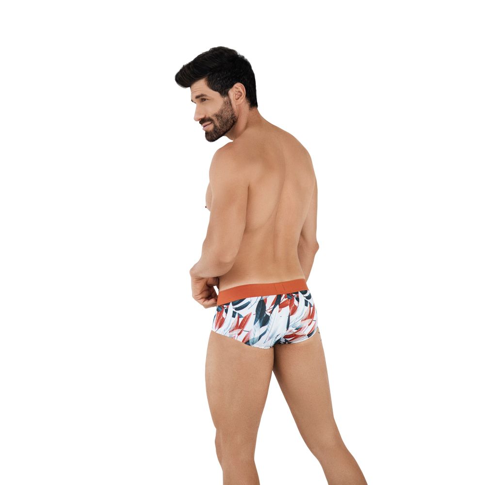 Мужские трусы брифы белые с рисунком Clever TESINO CLASSIC BRIEF 104919