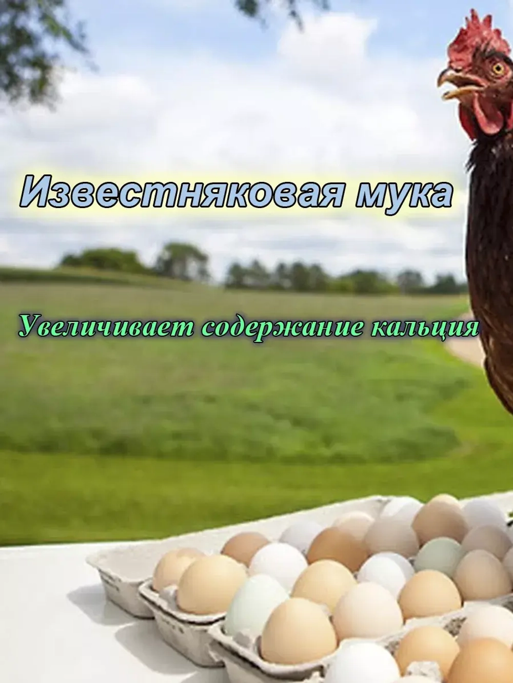 Крупка известняковая для кур