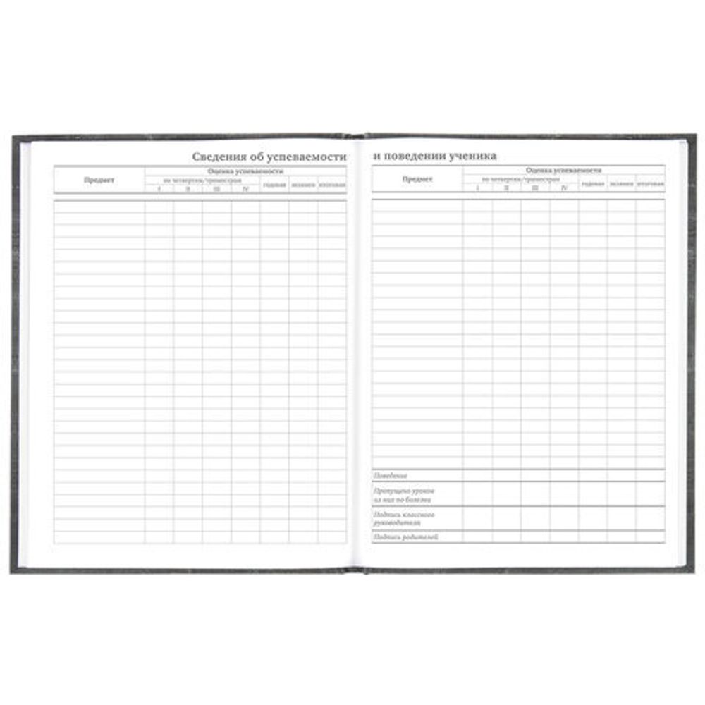 Дневник 5-11 класс 48 л., твердый, BRAUBERG, фольга, с подсказом, "Музыка", 106418