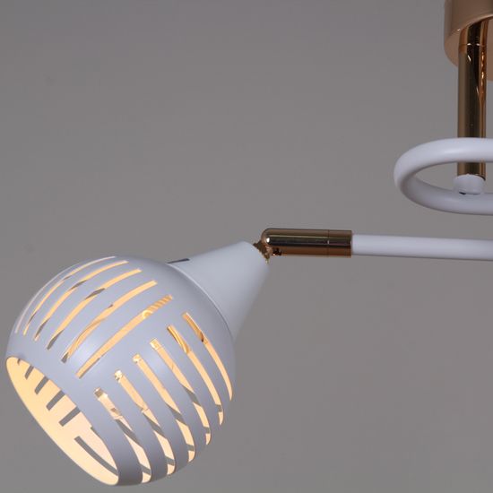 70059-3.3-02 FG+WH светильник потолочный