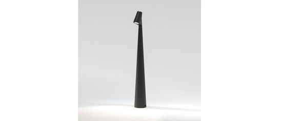 Светильник светодиодный настольный LED 2W 3000К/4000К/6000К TL70250 чёрный Elite Elektrostandard.