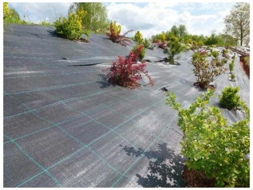 Агроткань Чехия, плотность 100 г/м2, ширина 2,10 длина 10м Закупка М28 Наличие