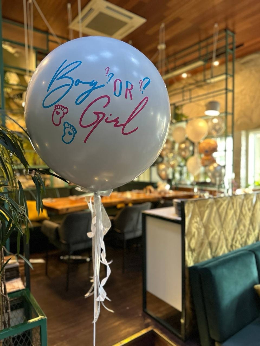 Воздушные шары на Гендер пати №435