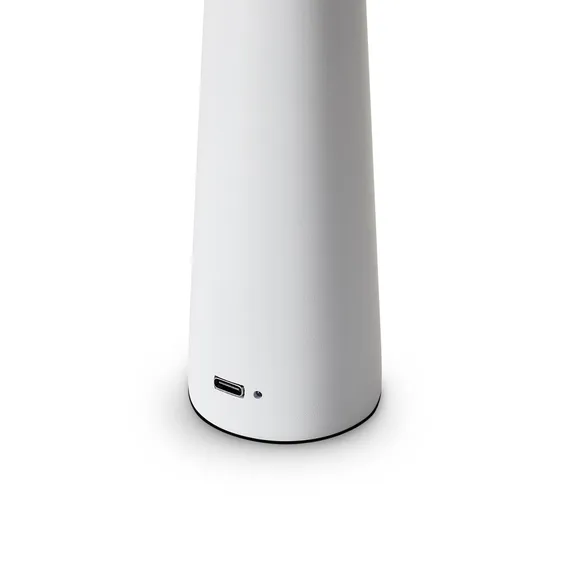 Настольный светильник Ракушка / Clam Freya fr6188tl-l3w