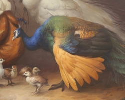 Павлины с птенцами