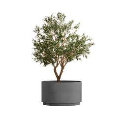 Кашпо, коллекция Classic, форма CYLINDER XL