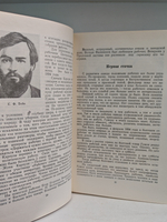Свет над заставой