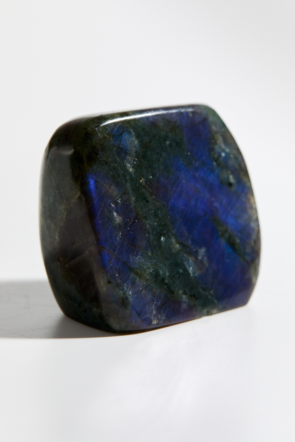 Срез Лабрадора S