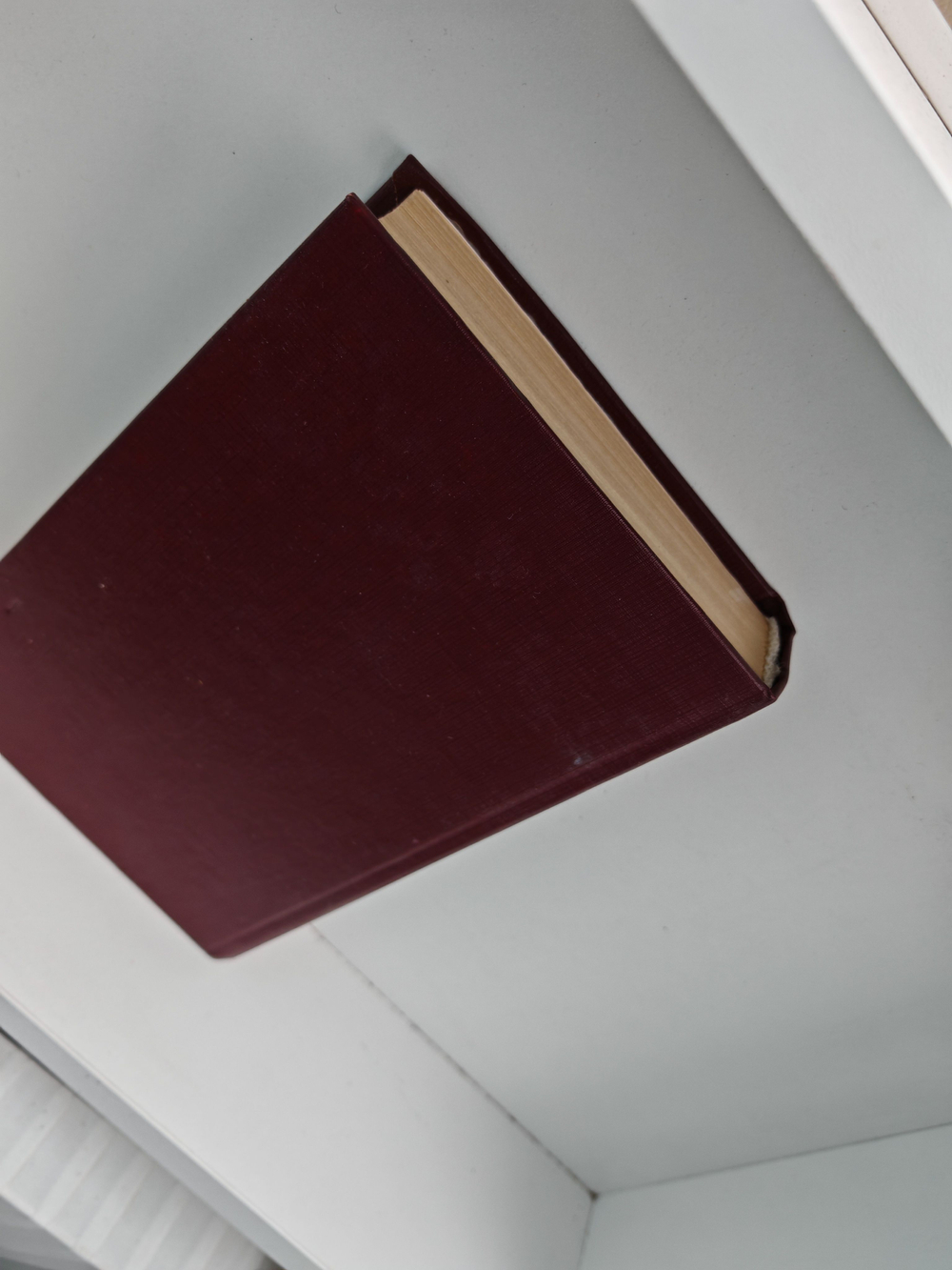 Калигула, или после нас хоть потоп