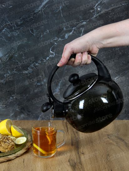 Чайник 2,2 л. эмалированный со свистком Kamille KM 1038A с черной бакелитовой ручкой