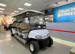 Гольфкар GreenMotortech 6+2