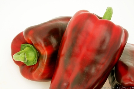 ПОМПЕО F1 семена перца сладкого Nunhems отзывы – фото 5