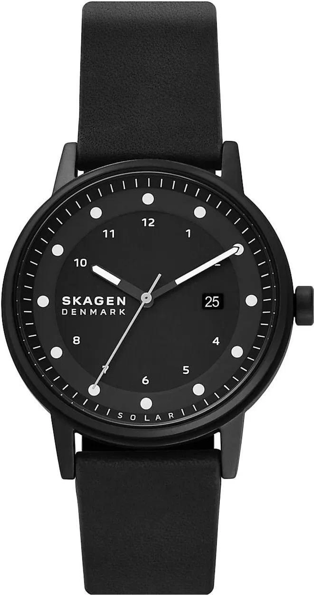 Мужские наручные часы Skagen SKW6740