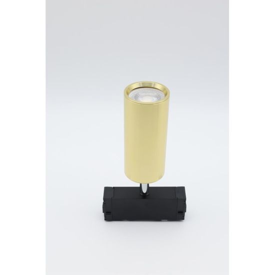 Светильник трековый APL.0209.10.01