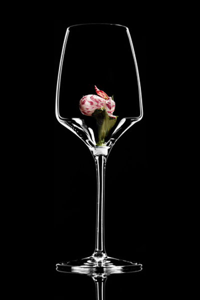 Бокал для белого вина. Башмачок Пятнистый. Новая коллекция.