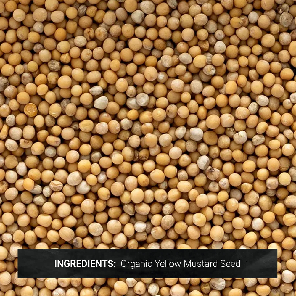 Frontier Co-op, Органические цельные семена желтой горчицы, 453 г (16 унций)