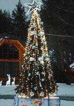 Уличная елка ствольная "Альпийская" (пвх) 7 м