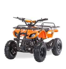 Квадроцикл MOTAX ATV Mini Grizlik Х-16 (м/с) Big Wheel