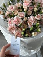 Моно букет из кустовых диантусов в нежно розовом оттенке 25 шт