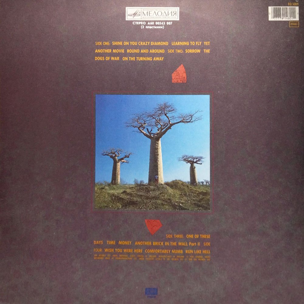 Pink Floyd / Delicate Sound Of Thunder (2LP)