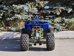 Lion 125 A lite синий