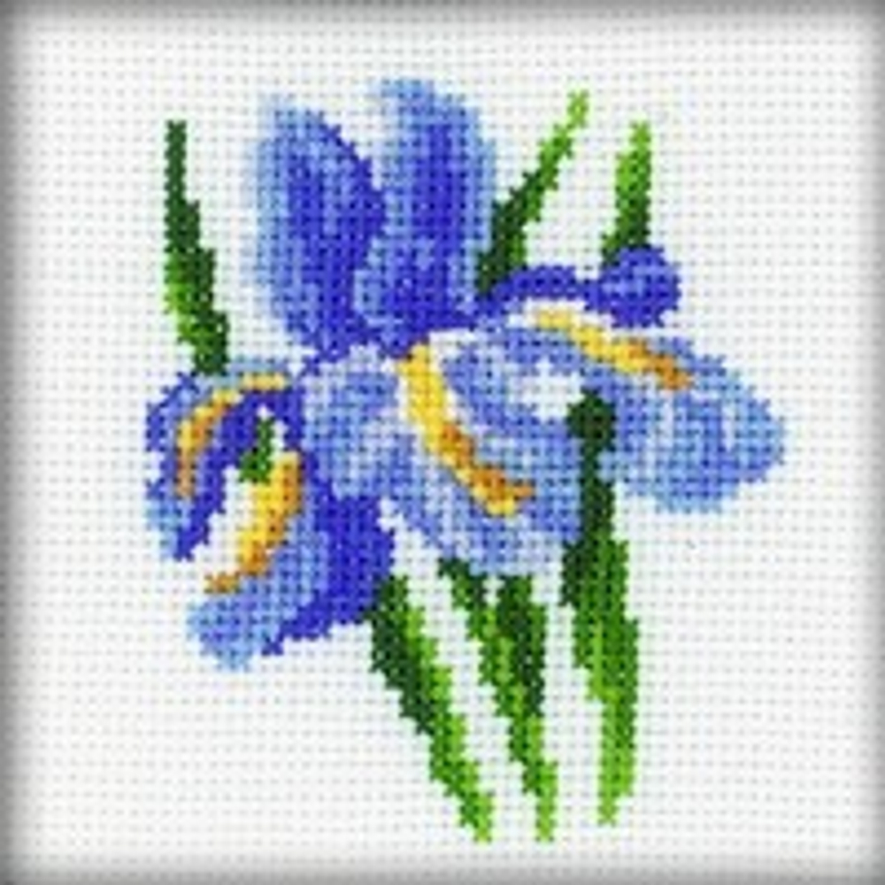 "Ирис"-H172  вышивка