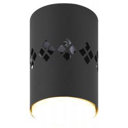 Светильник настенно-потолочный спот ЭРА OL10 LD GX53 BK черный, подсветка 1 W