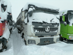 Shacman (Shaanxi) SX* 8x4 Самосвал SX33186V366 (Дизельный, 11,6 л, 423 л.с., МТ)