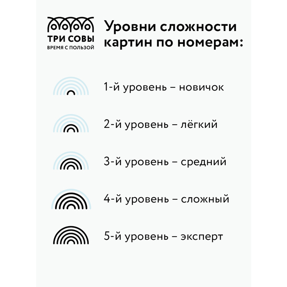 Картина по номерам на холсте "Сочи", 40*50см, с акриловыми красками и кистями, ТРИ СОВЫ