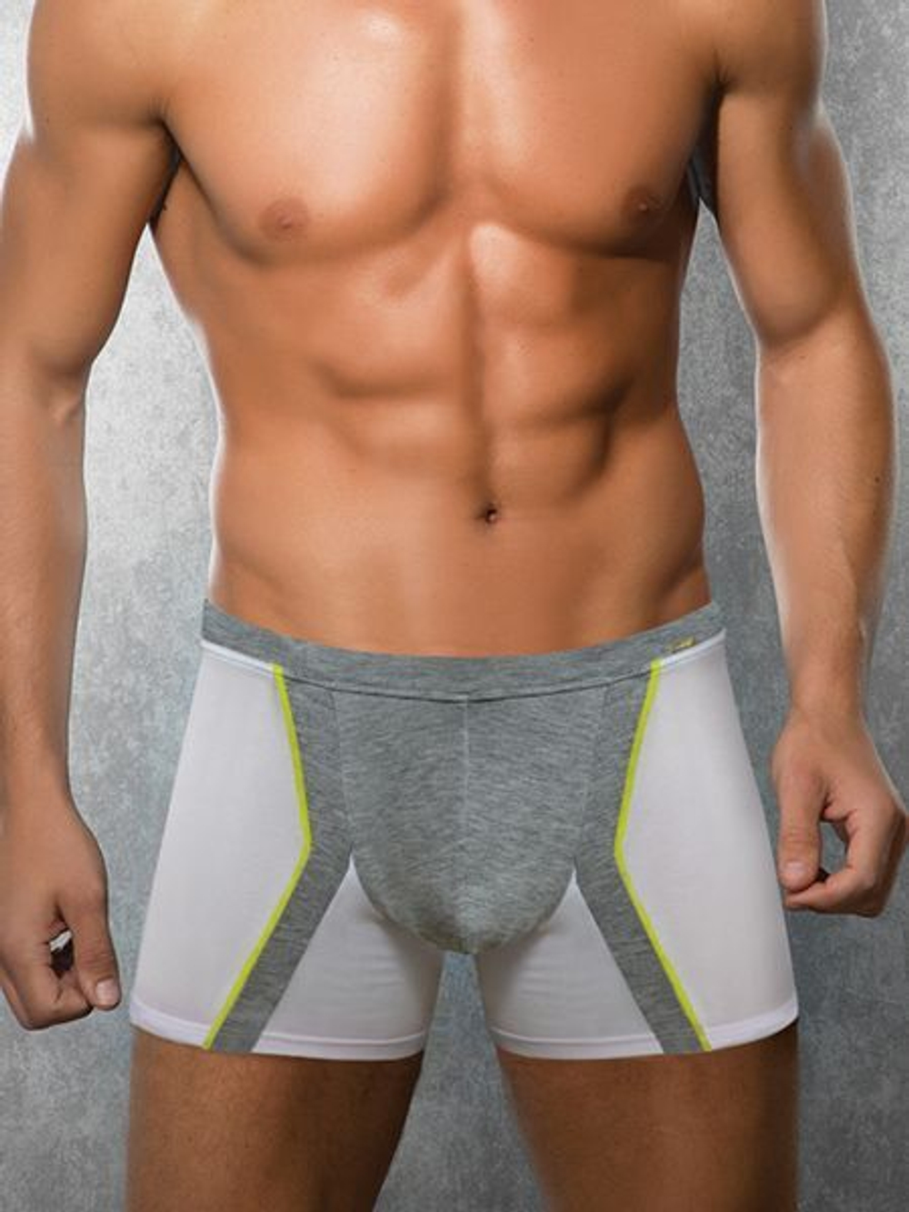 Cветло-серые трусы-боксеры со вставками Doreanse Supporters Boxer (Размер: S) (Цвет: светло-серый)