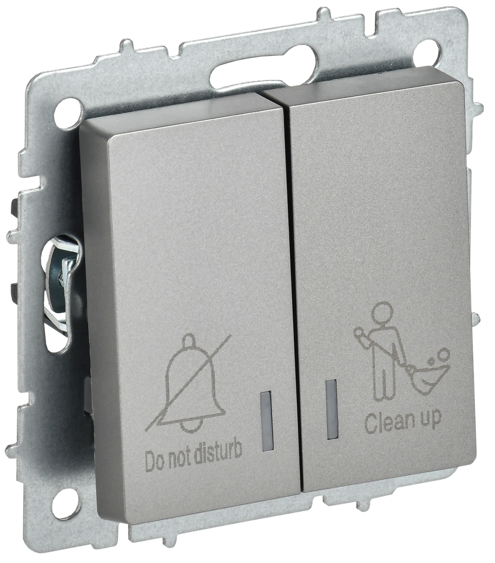 BRITE Выключатель 2-клавишный с индикацией для отелей 10А ВС10-2-9-БрС сталь IEK