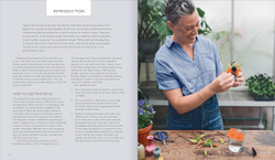 The Little Flower Recipe Book: 148 Tiny Arrangements for Every Season and Occasion