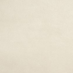 Велюр Bruno / Бруно