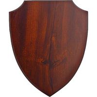 Плакетки из натурального дерева