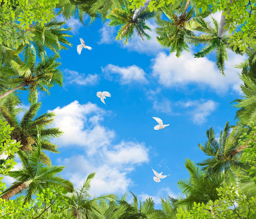 Небо №12 Фотообои и Фрески ручной работы