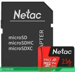Карта памяти Netac NT02P500PRO-256G-R