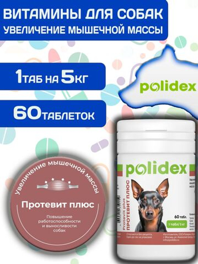 Polidex Protevit Plus для собак, Кормовая добавка для увеличения мышечной массы, Полидек Протевит Плюс, 150 таб