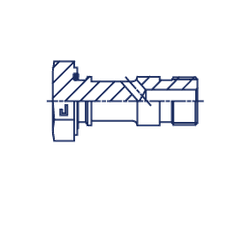 Болт BANJO BSP 1/4"