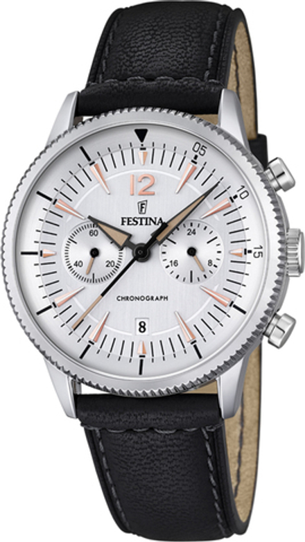Мужские наручные часы Festina F16870/1